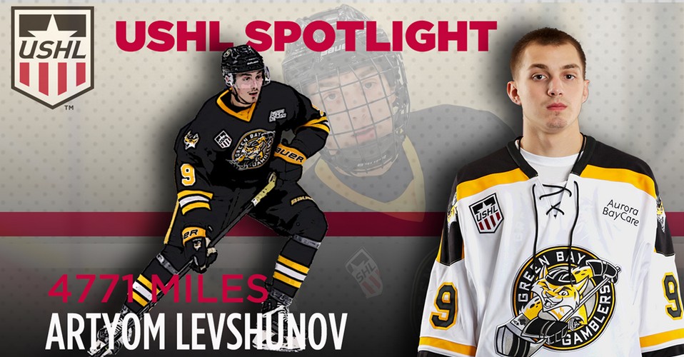 Артем Левшунов